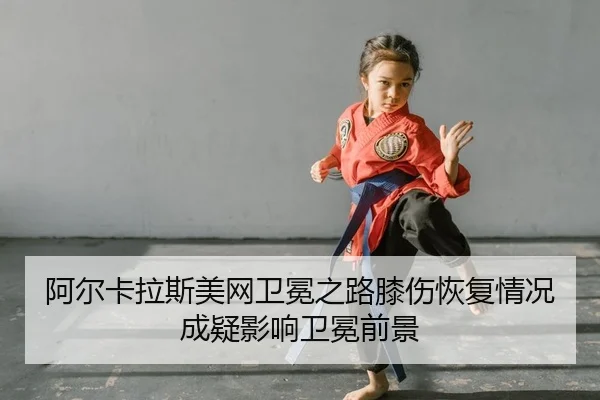 a-er-ka-la-si-mei-wang-wei-mian-zhi-lu-xi-shang-hui-fu-qing-kuang-cheng-yi-ying-xiang-wei-mian-qian-jing-2-386.jpg